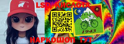 крисы Кунгур