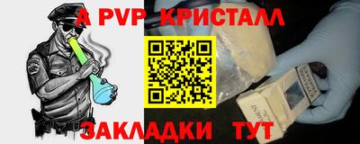 крисы Кунгур