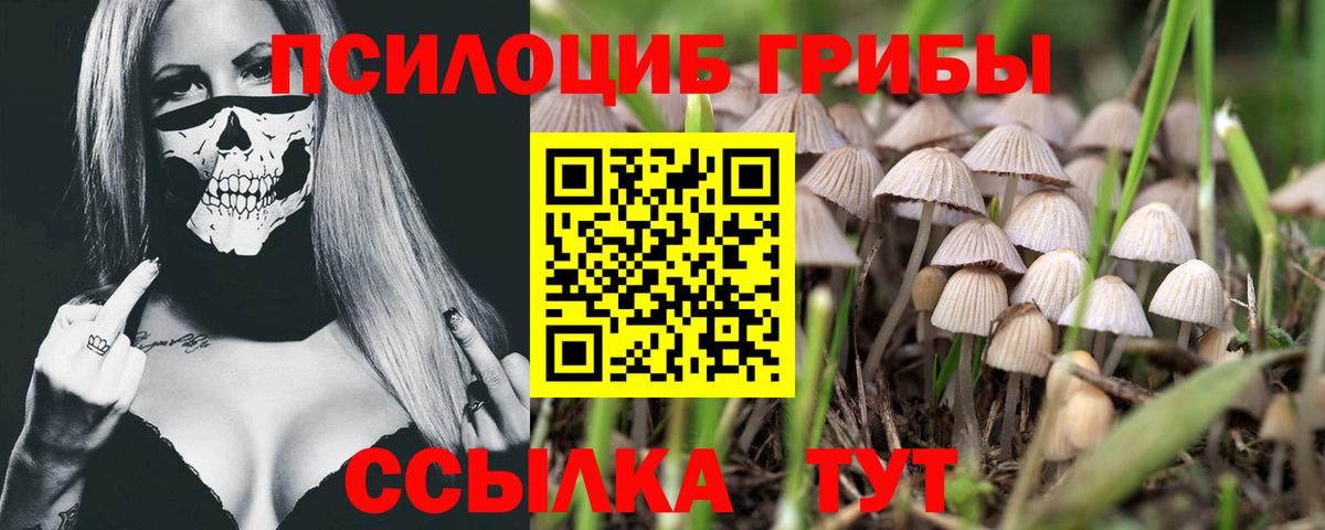 Галлюциногенные грибы мухоморы  Вход с VPN  Жигулёвск  купить закладку  Галлюциногенные грибы GOLDEN TEACHER 